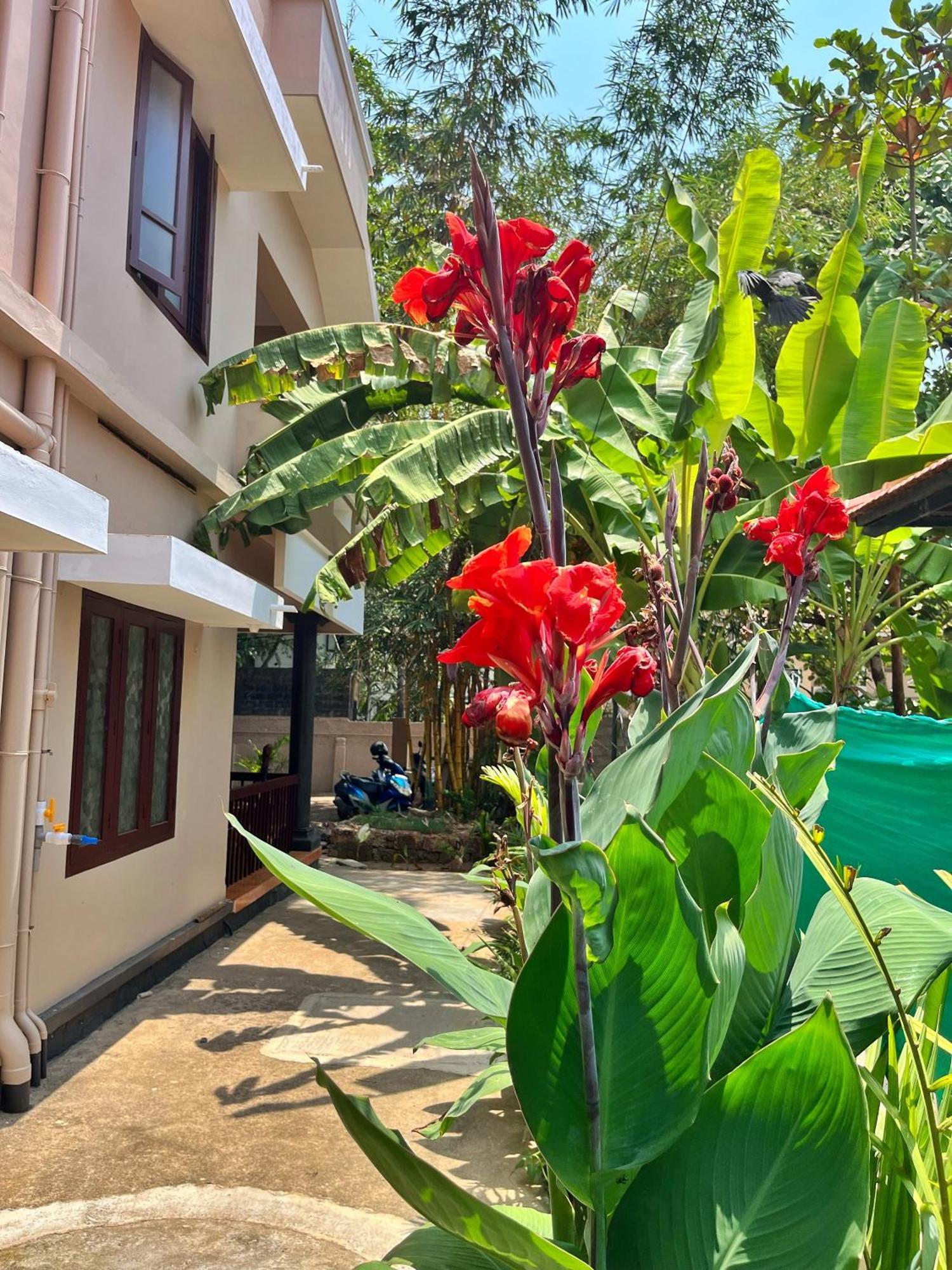 Bava Beach Resort & Retreat Center Varkala Exterior photo